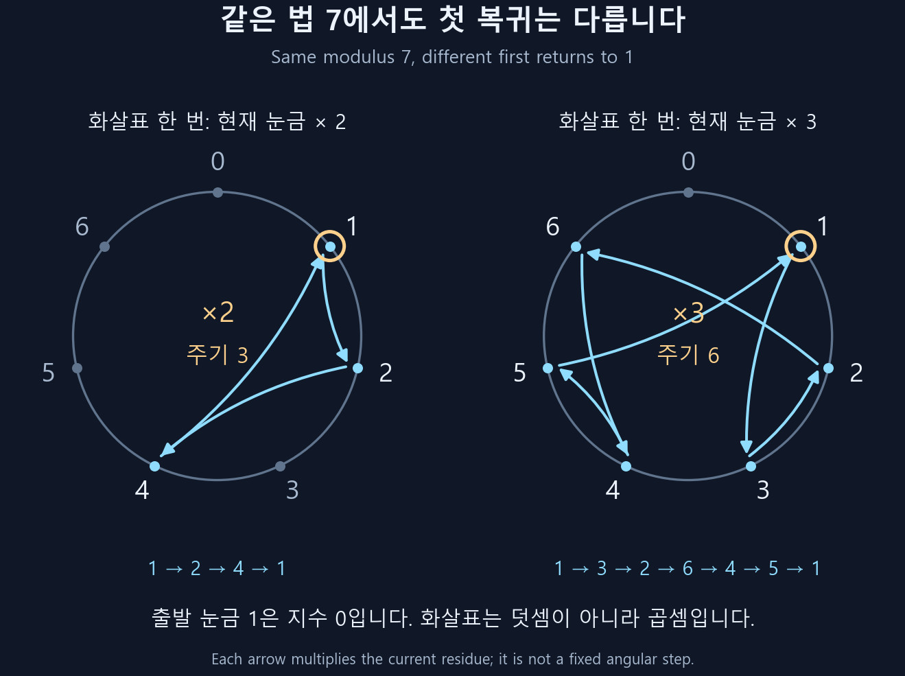 법 7의 같은 눈금판에서 1부터 두 배를 반복하면 1·2·4의 세 자리 순환, 세 배를 반복하면 1·3·2·6·4·5의 여섯 자리 순환이다. 화살표는 현재 값의 곱셈이며 일정 칸 덧셈이 아니다.